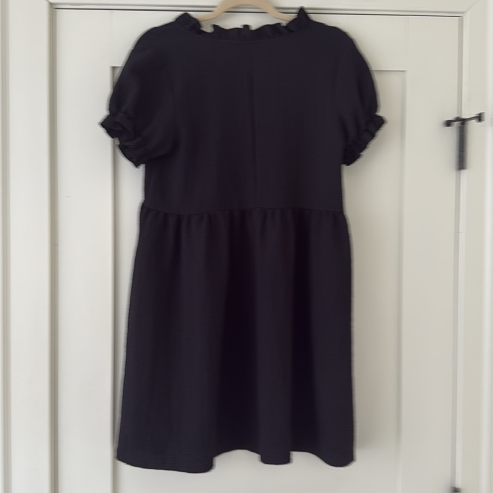 Chic Black Ruffle Dress - Picture 4 of 5